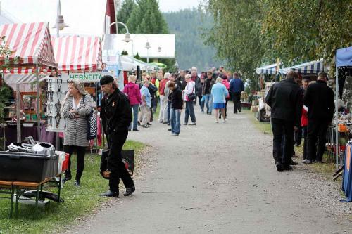 näyttely nurmes 2012 yleiskuvia